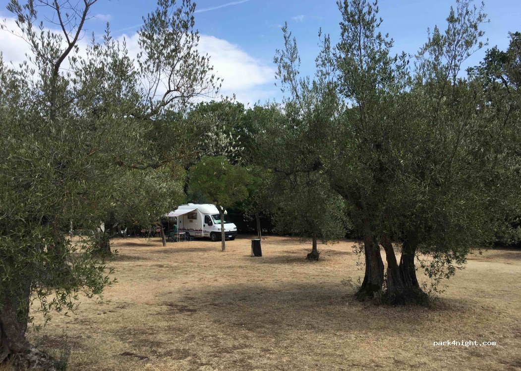 Camping Il Rocolo — foto 3