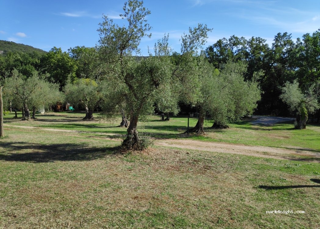 Camping Il Rocolo — foto 4