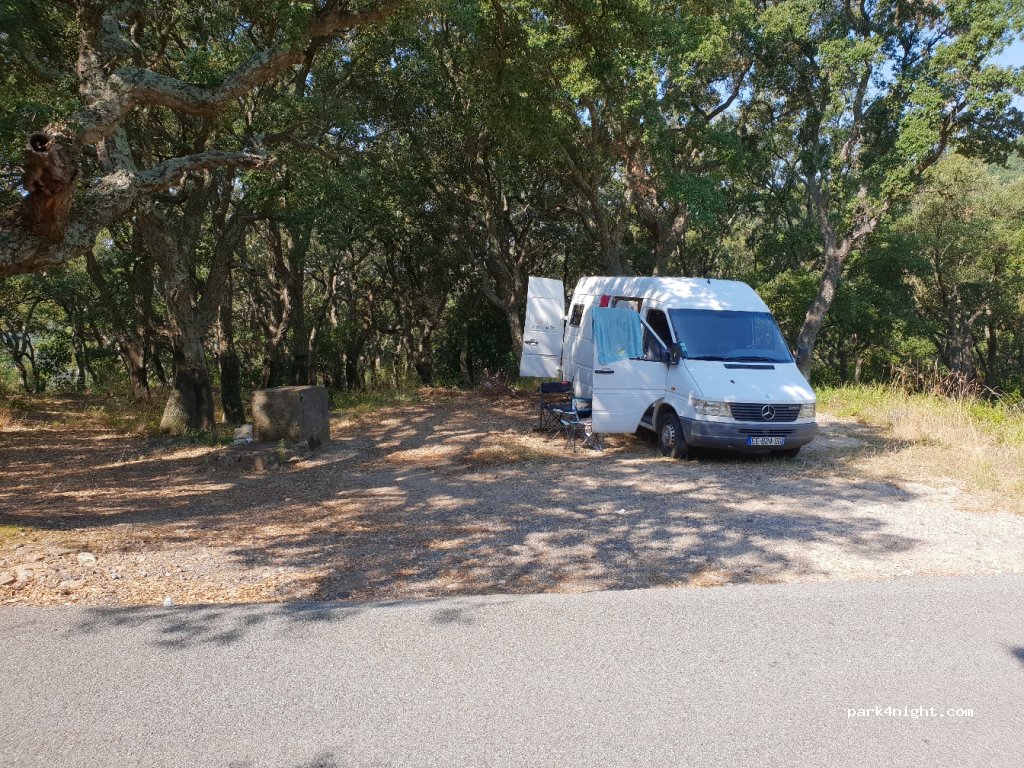 (83120) Sainte-Maxime - D25B — foto