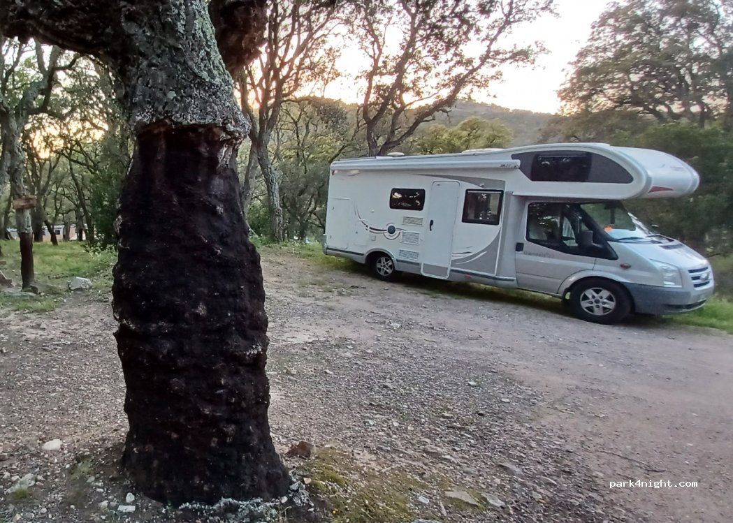 (83120) Sainte-Maxime - D25B — foto 3
