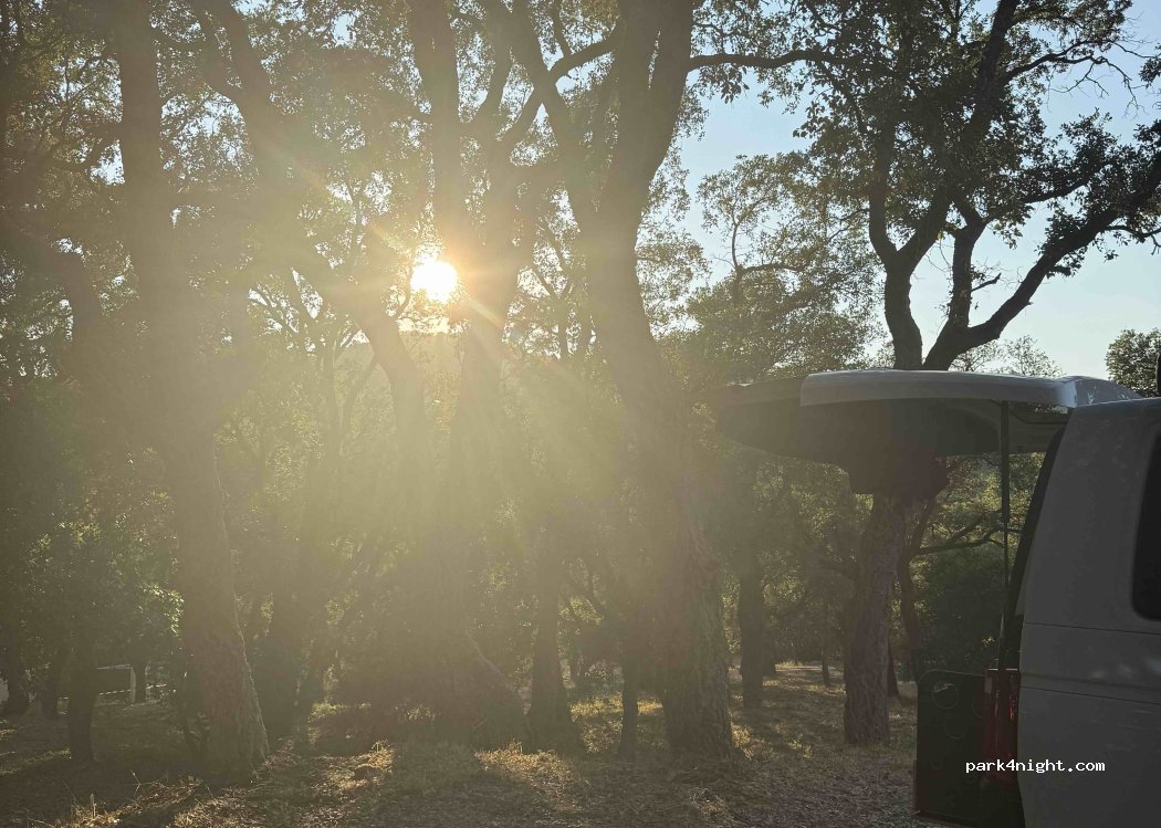 (83120) Sainte-Maxime - D25B — foto 4
