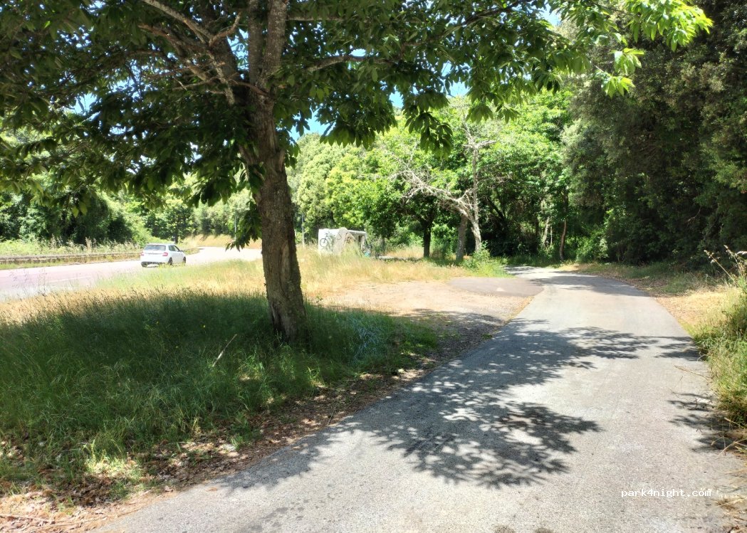 (20128) Grosseto-Prugna - T40 — foto 3
