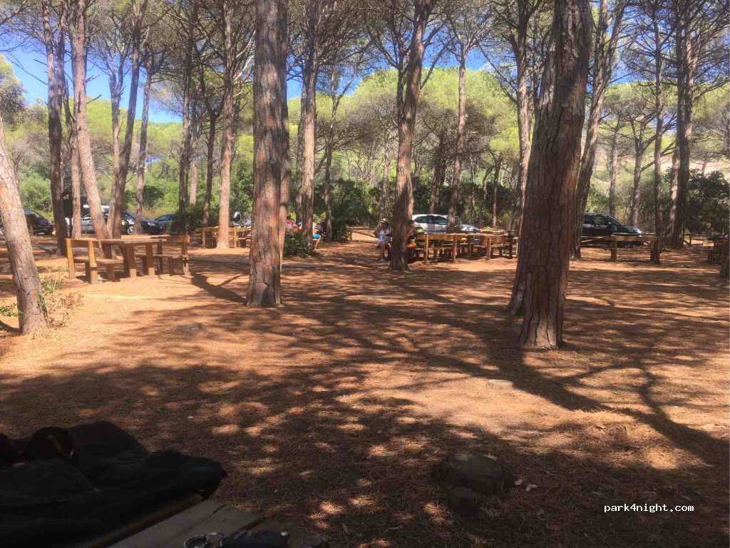 (07024) La Maddalena - Unnamed Road — foto