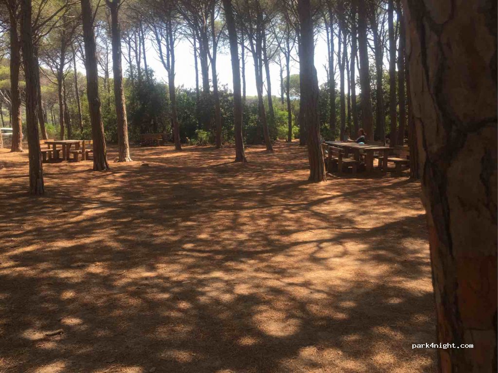 (07024) La Maddalena - Unnamed Road — foto 3