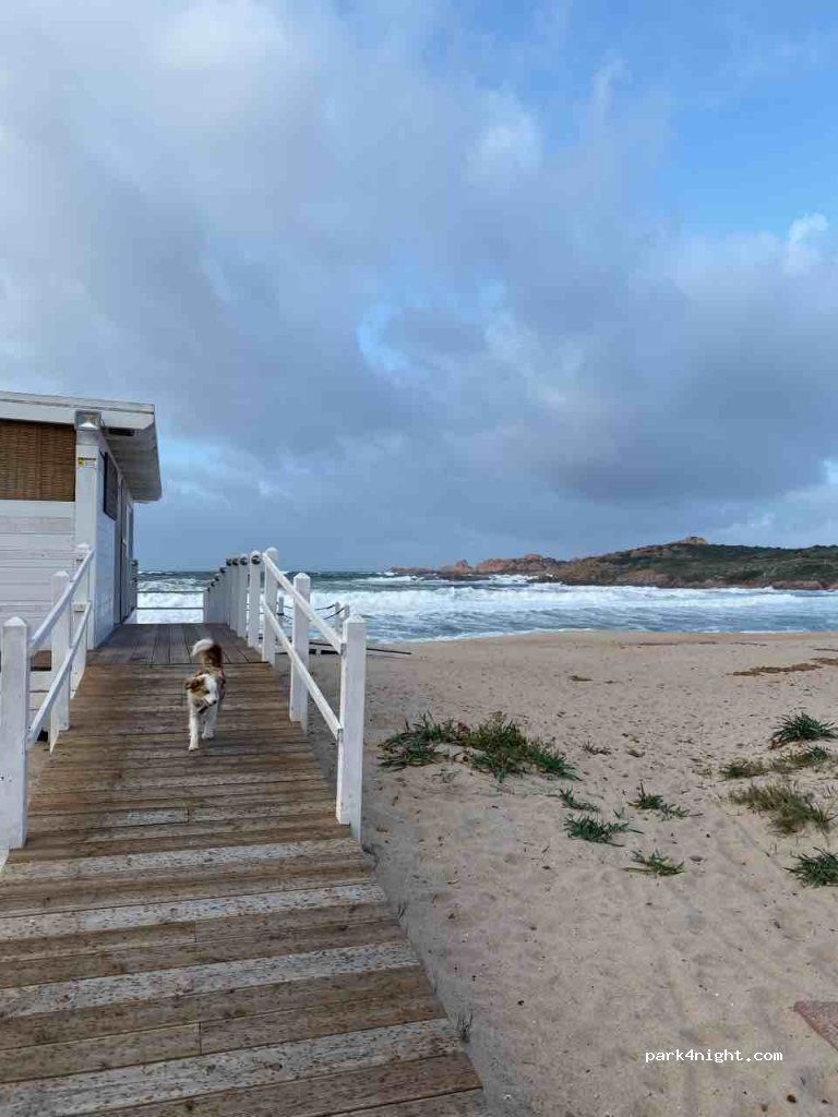 (07038) La Marinedda - Unnamed Road — foto