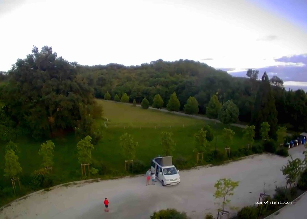 (04300) Saint-Martin-les-Eaux - D505 — foto 3