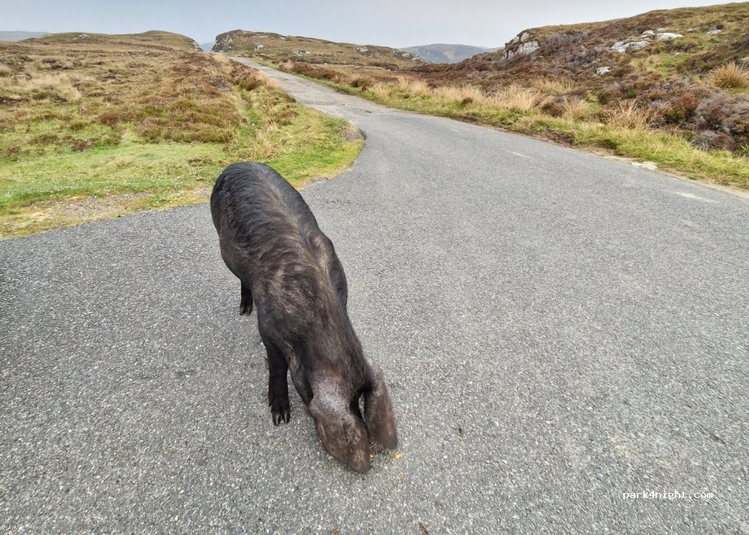 (HS8 5NS)  - Unnamed Road — foto 4