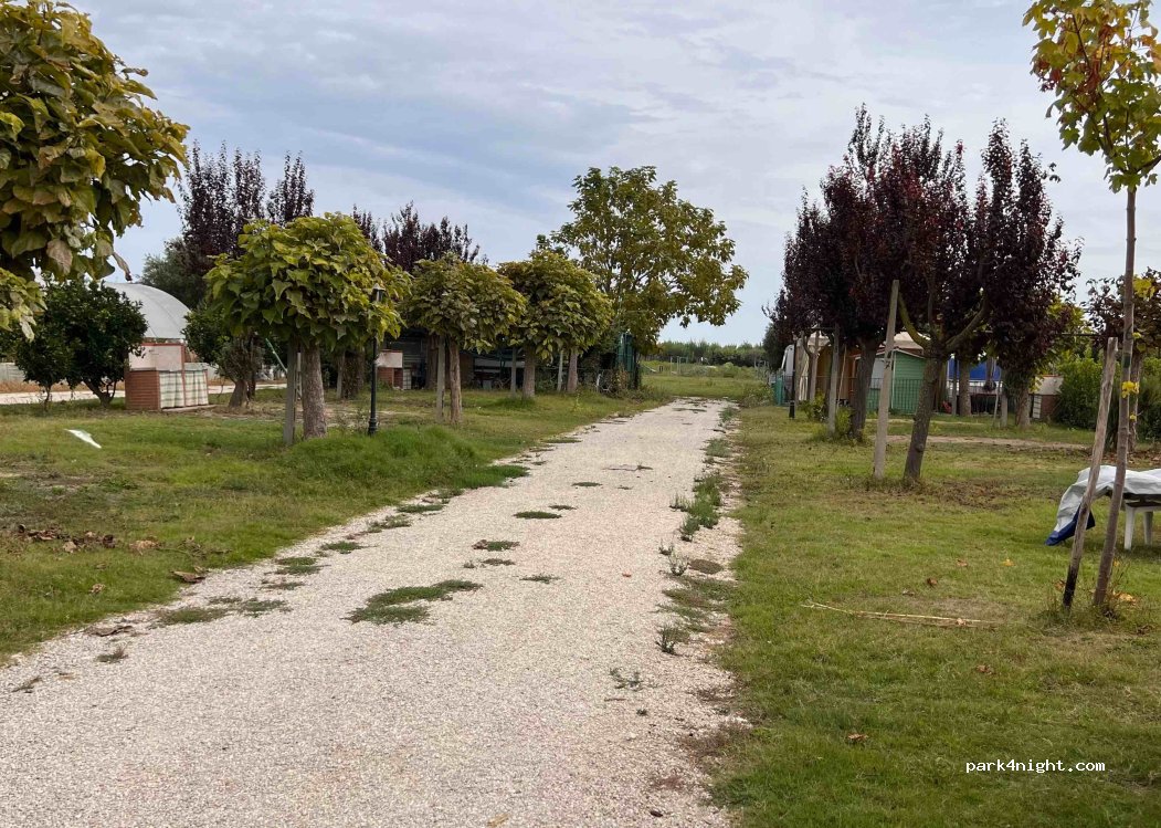 Agricamping  Az. Agr.Punto Green Ss — foto 3