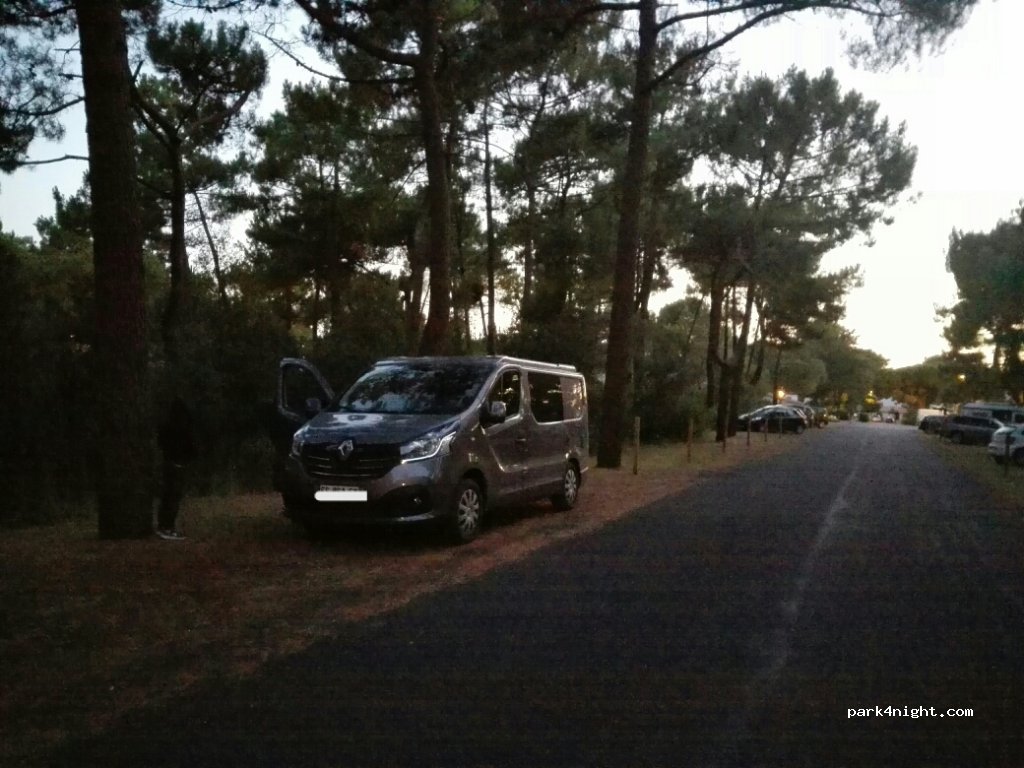 (17570) Les Mathes - Avenue de la Pinède — foto