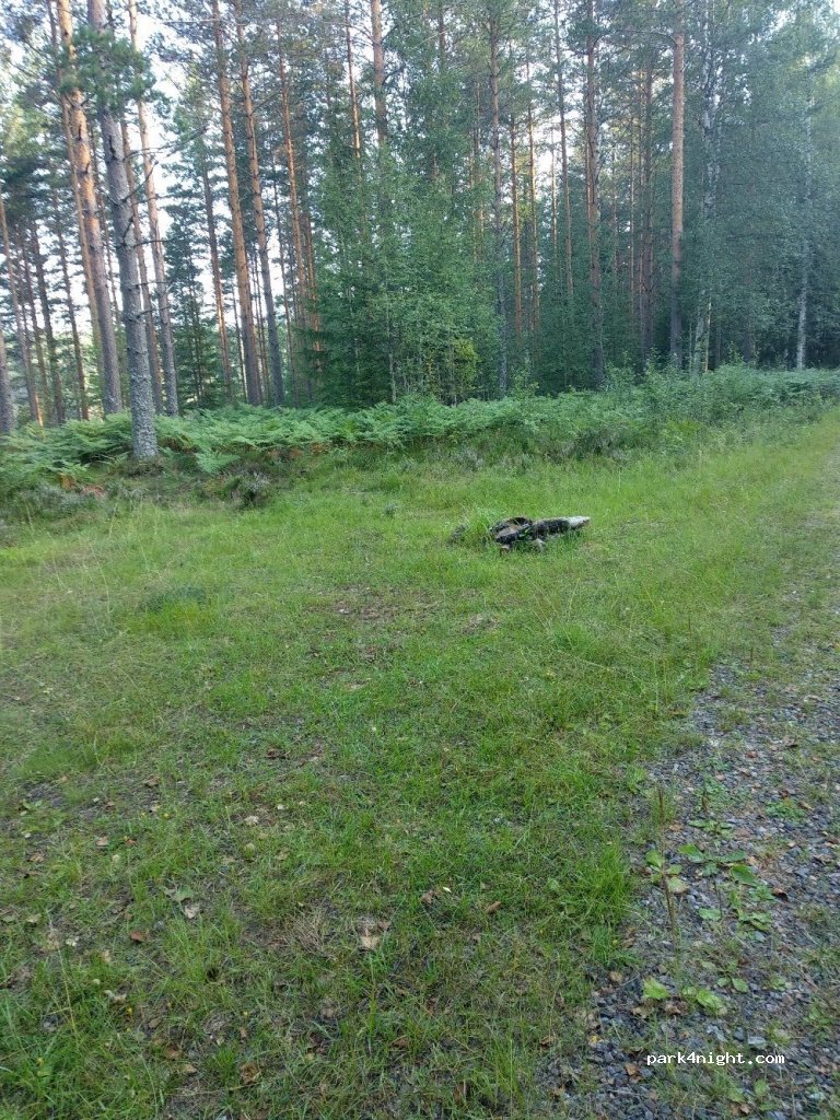(777 93)  - Unnamed Road — foto