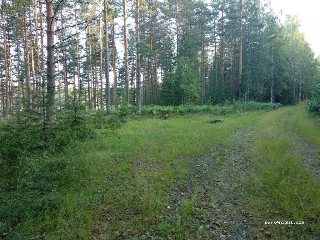 (777 93)  - Unnamed Road — foto 2