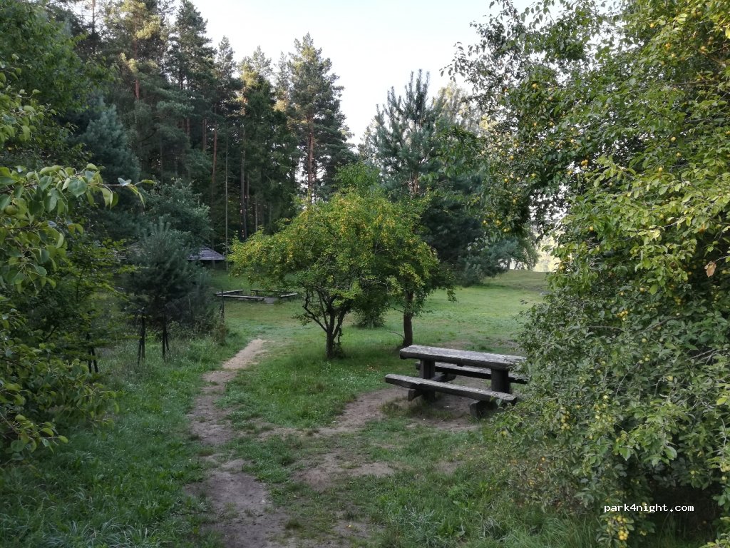 (84-206) Nowy Dwór Wejherowski - 33 Bukowa — foto 4