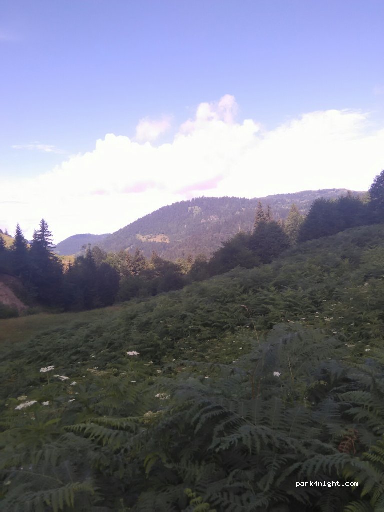 () Danisparauli - Batumi-Akhaltsikhe — foto 2