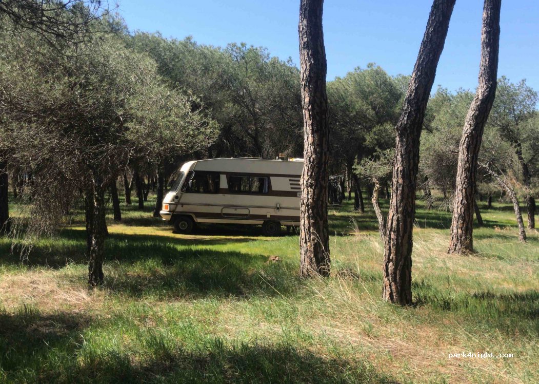 (47114) Matilla de los Caños - Camino de Villamarciel — foto 2