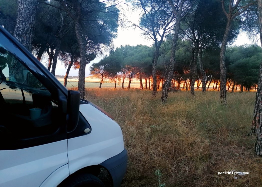 (47114) Matilla de los Caños - Camino de Villamarciel — foto 4