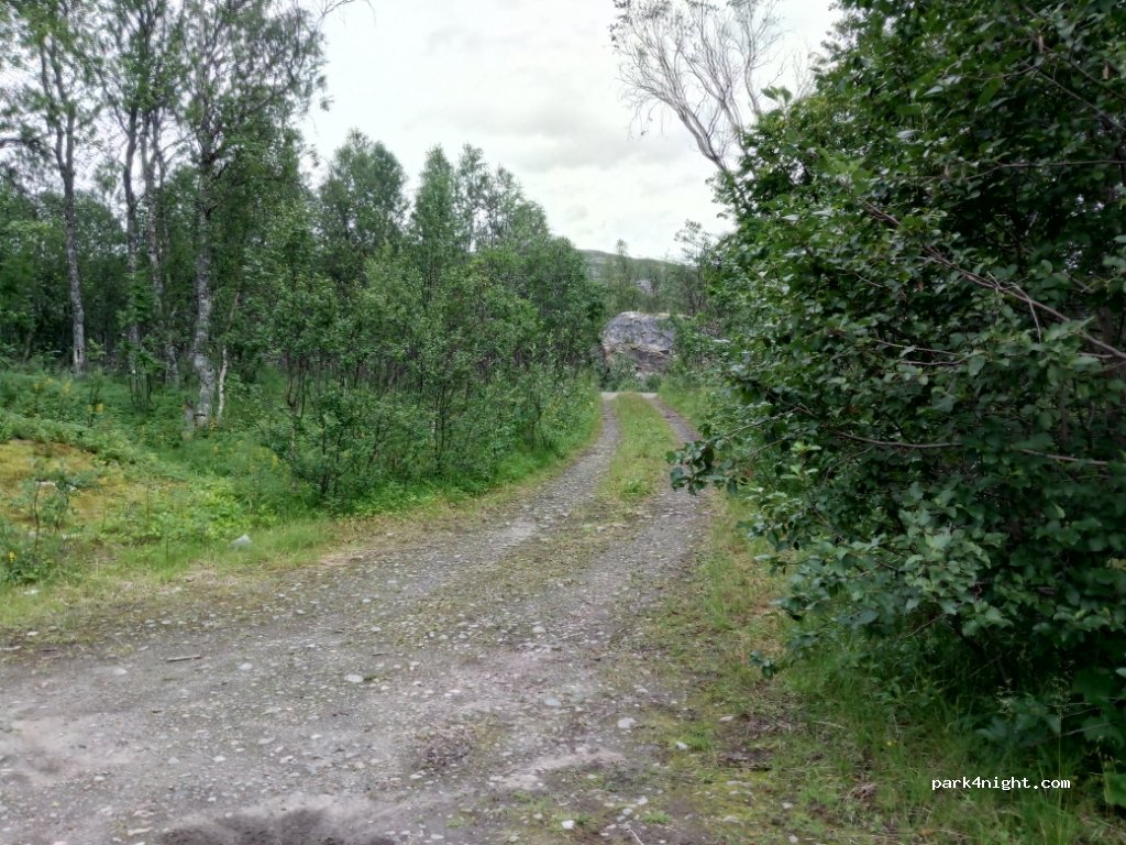 (9385)  - 13 Primær Fylkesveg 86 — foto