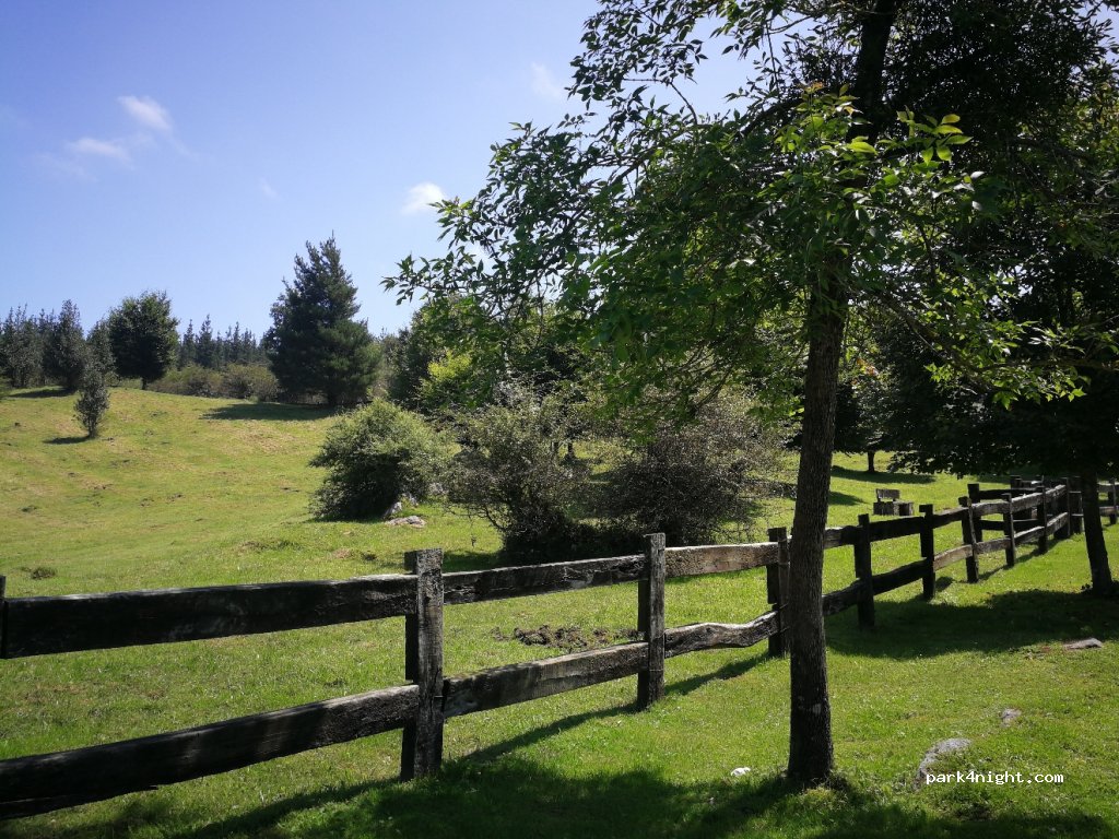 (48410) Areatza - Unnamed Road — foto 2