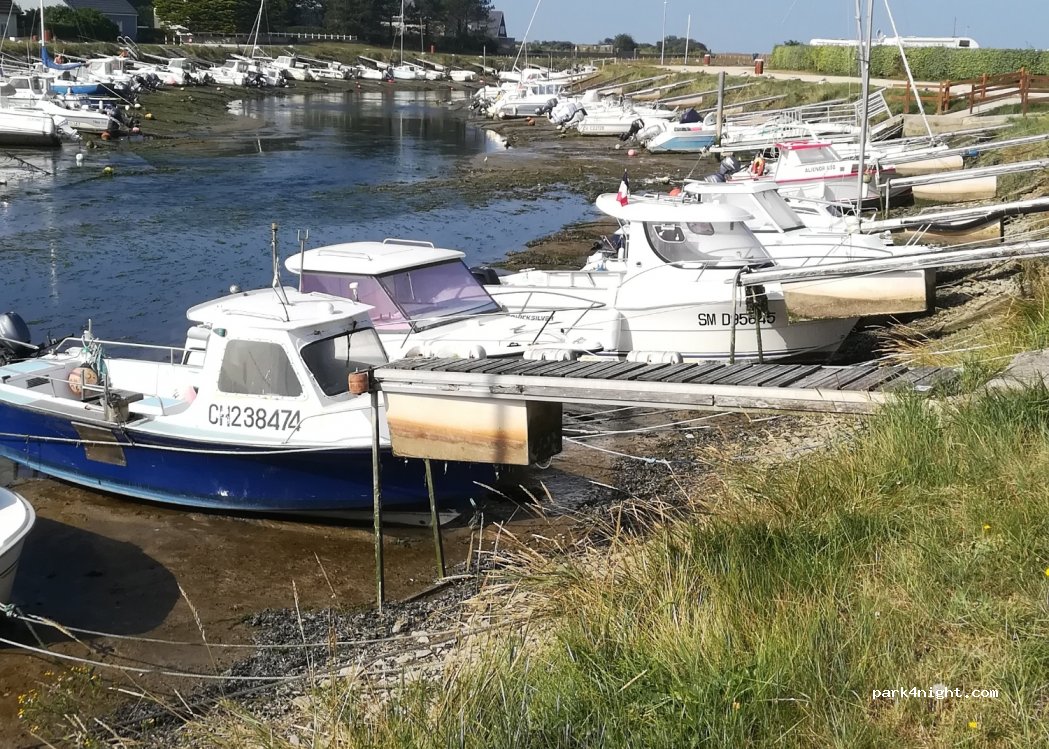 Camping Municipal La Sinope — foto 2
