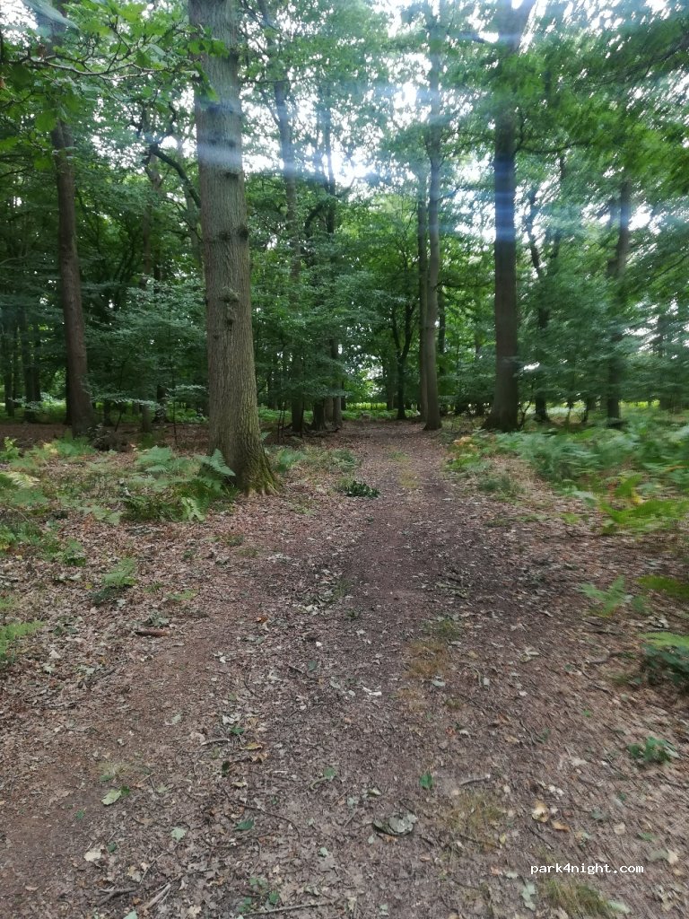 (SG4)  - Hitchwood Lane — foto
