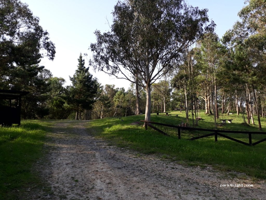 (33795) Coaña - — foto