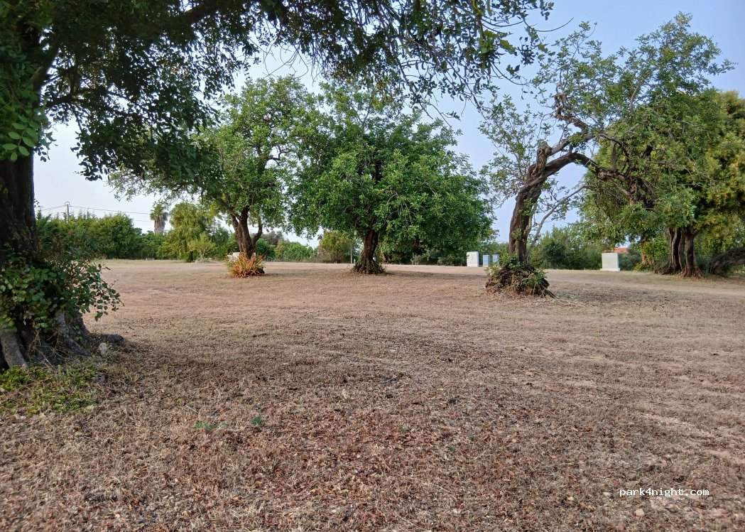 Camping Calico — foto 5