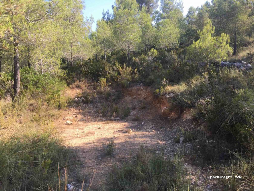 (08729) Castellet i la Gornal - Carretera de Vilanova i la Geltrú a la Bisbal del Penedès C-434 | BV-2115 — foto 2