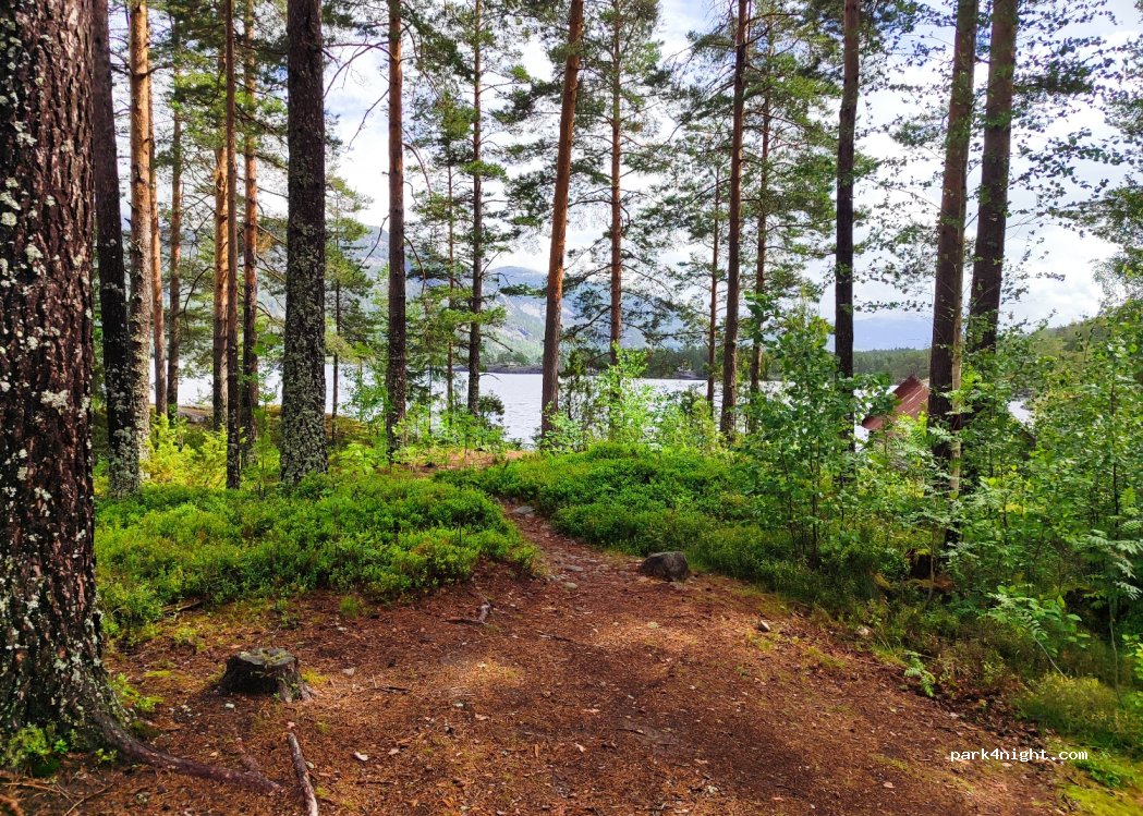(3853)  - 349 Sekundær Fylkesveg 455 — foto 4