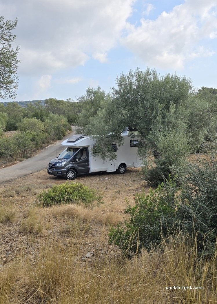 (310 82) Municipal Unit of Ellomenos - Νυδρί - Βασιλική — foto 4