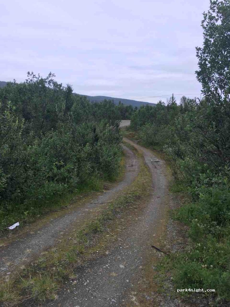 (9064)  - 116 Sekundær Fylkesveg 312 — foto 2