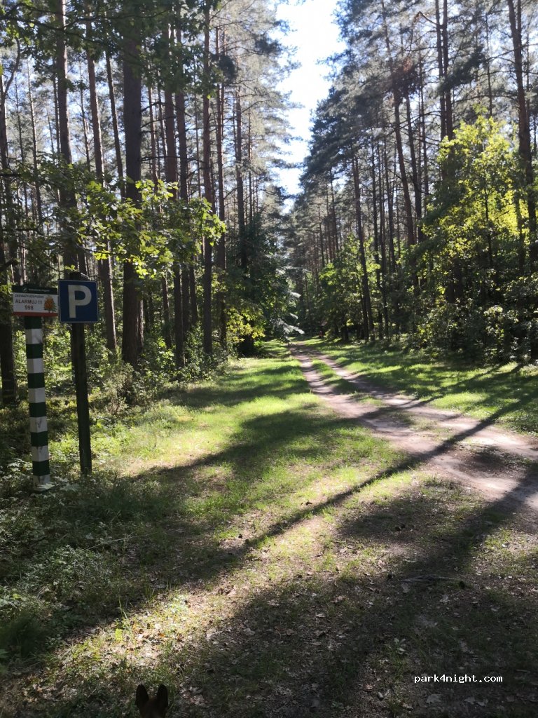 (19-206)  - Unnamed Road — foto