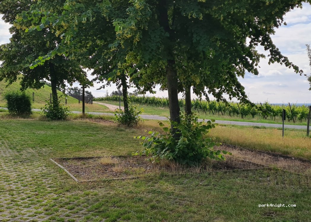 (06917) Jessen (Elster) - 29 Am Gorrenberg — foto 3
