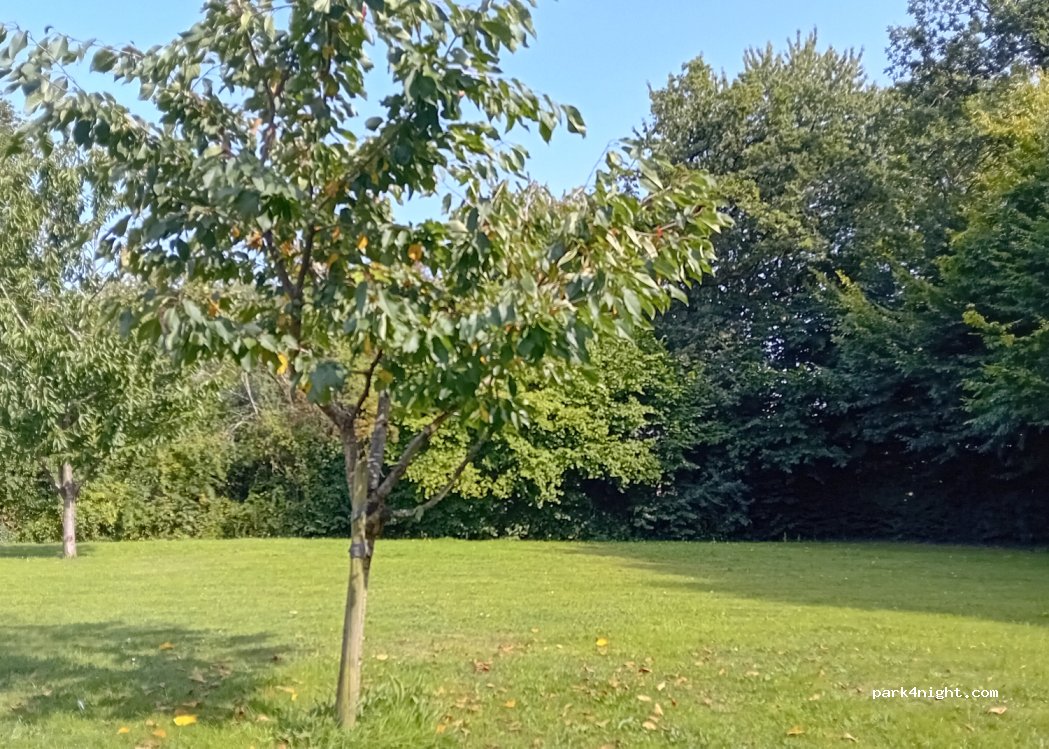 Aire naturelle de camping — foto 5