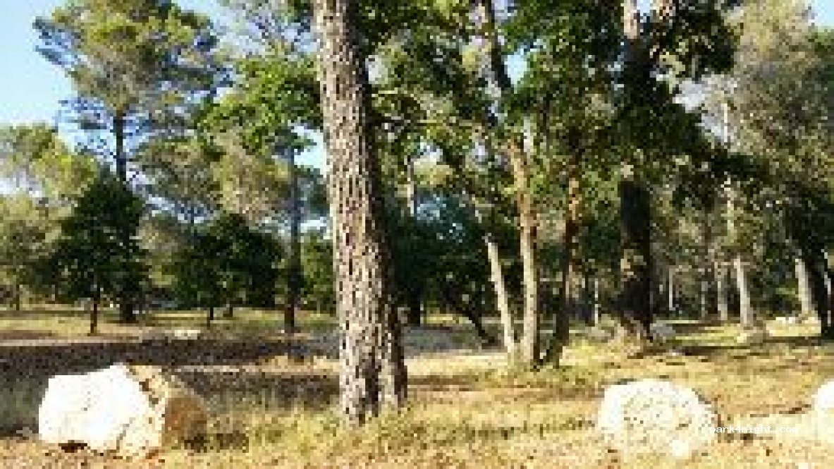 (13780) Cuges-les-Pins - D8N — foto
