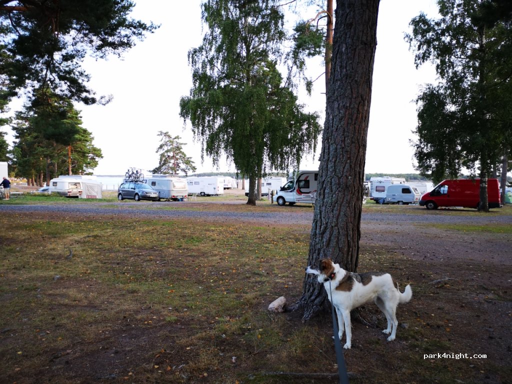 Hallmare Havsbad Camping / Campingplatz Loftahammar — foto 3