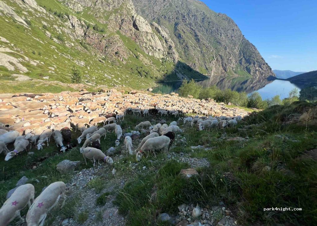 (09220) Auzat - Unnamed Road — foto 4
