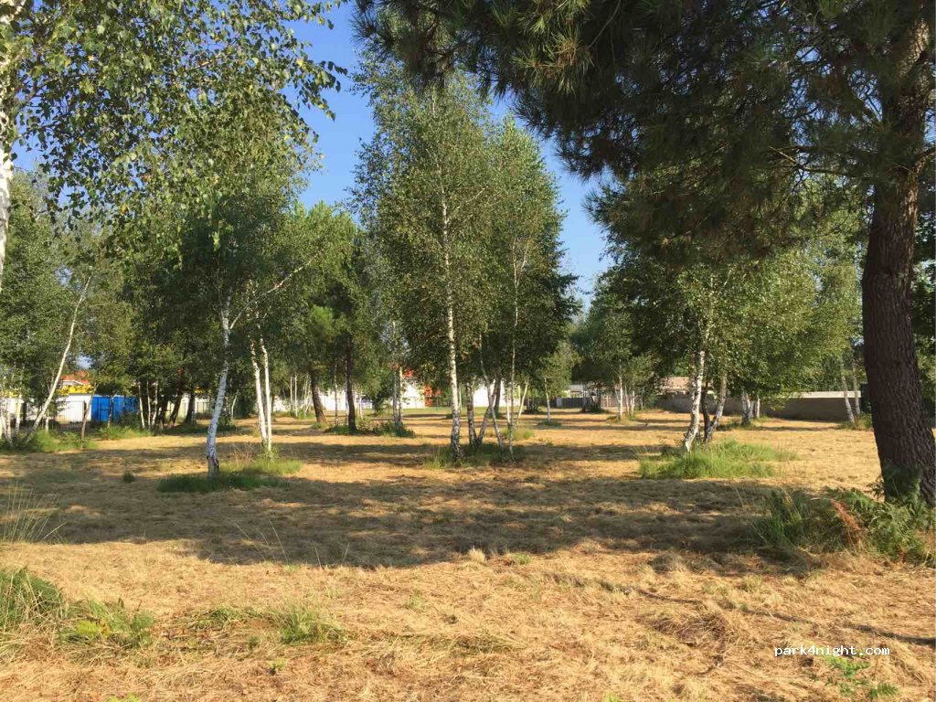 (33380) Marcheprime - Rue Pierre De Coubertin — foto