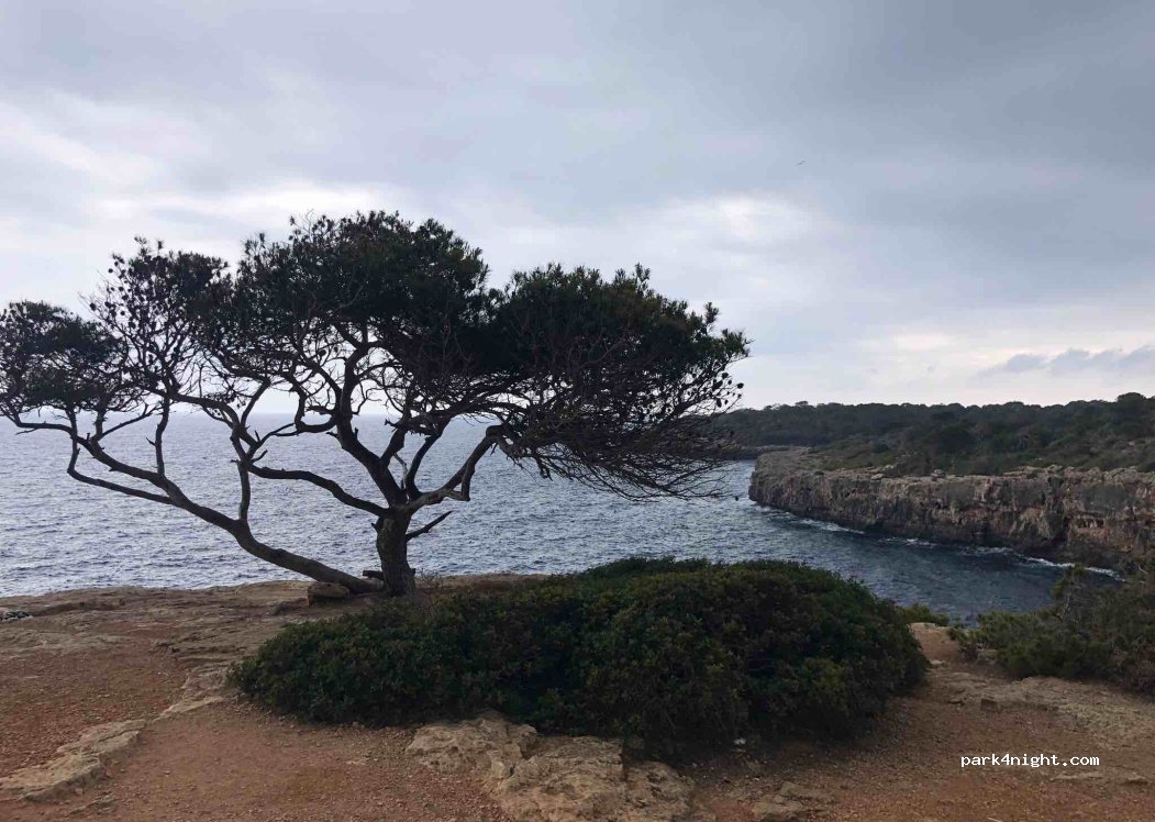 (07639) Cala Pi - 2 Carrer Penyes — foto 2