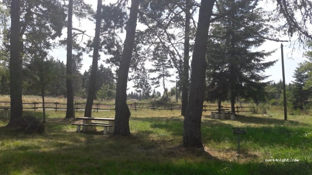 (63220) Doranges - Les Plaines — foto 2