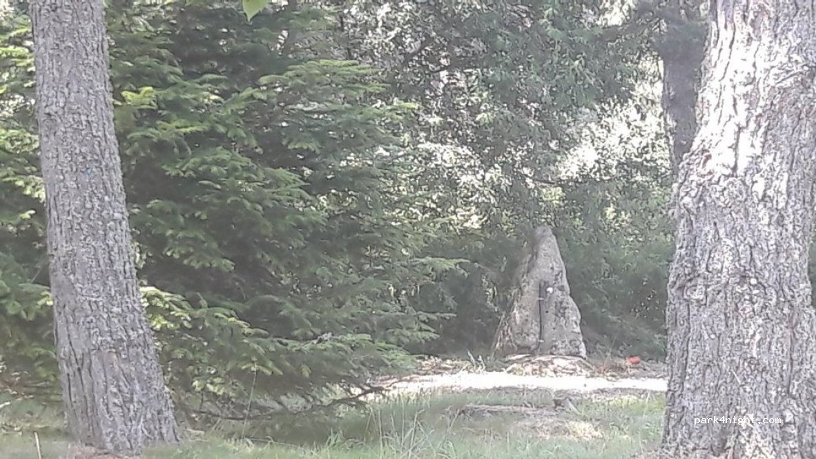 (63220) Doranges - Les Plaines — foto 3
