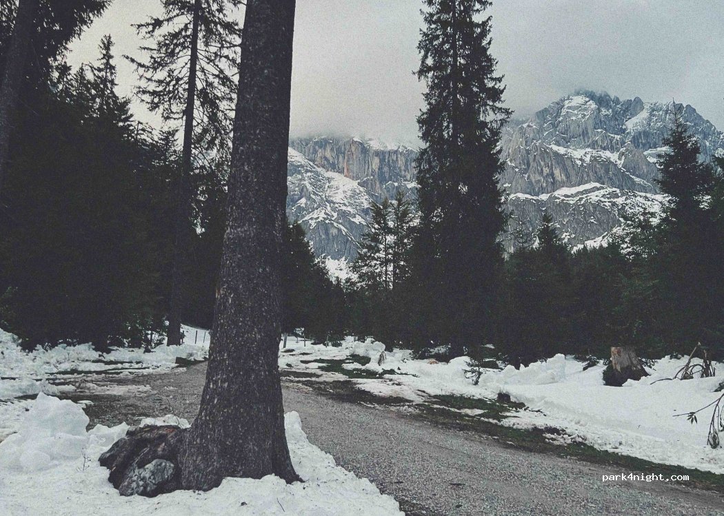 (5505) Mühlbach am Hochkönig - Stegmoos — foto 4