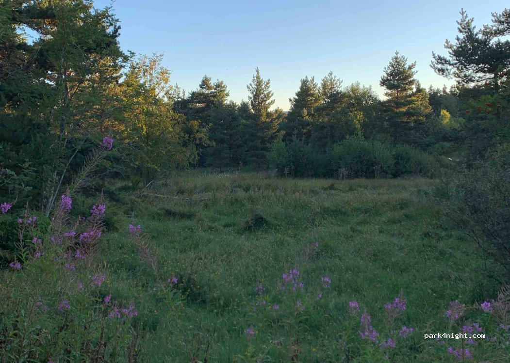 (42660) Saint-Régis-du-Coin - Gimel — foto 2