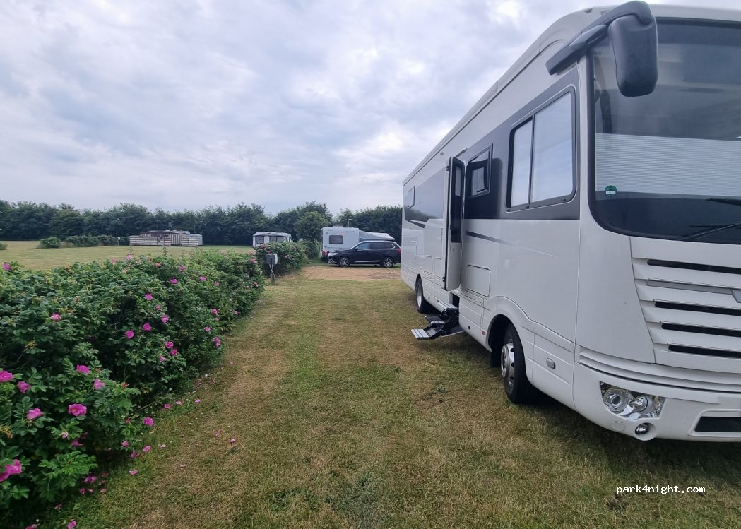 Fornæs Camping — foto 3