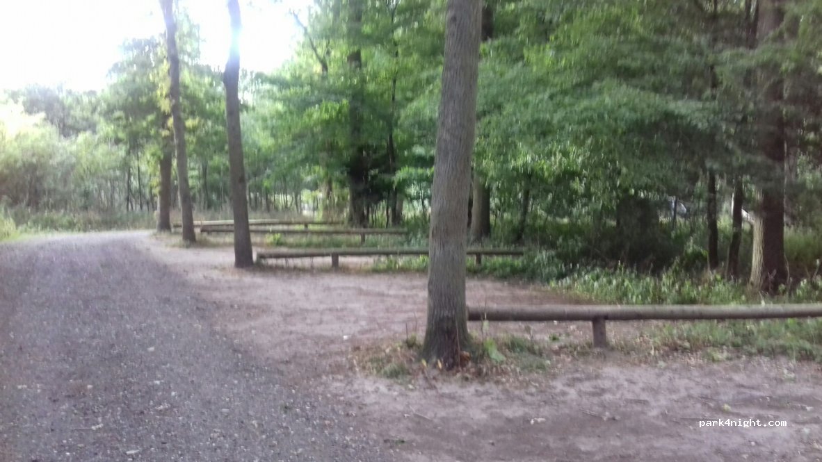 (4800) Nykøbing Falster - 3 Ved Hamborgskoven — foto 2