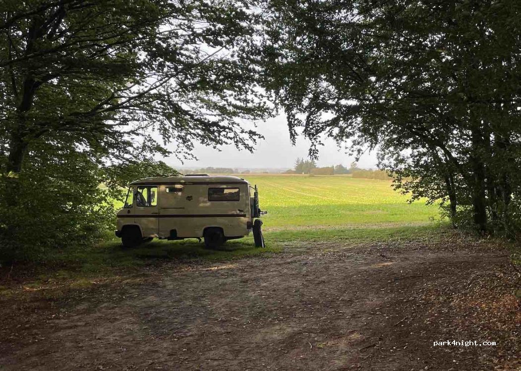 (6230) Rødekro - 45 Ribevej — foto 2