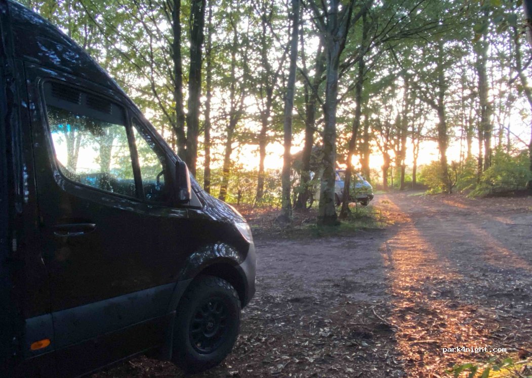 (6230) Rødekro - 45 Ribevej — foto 3
