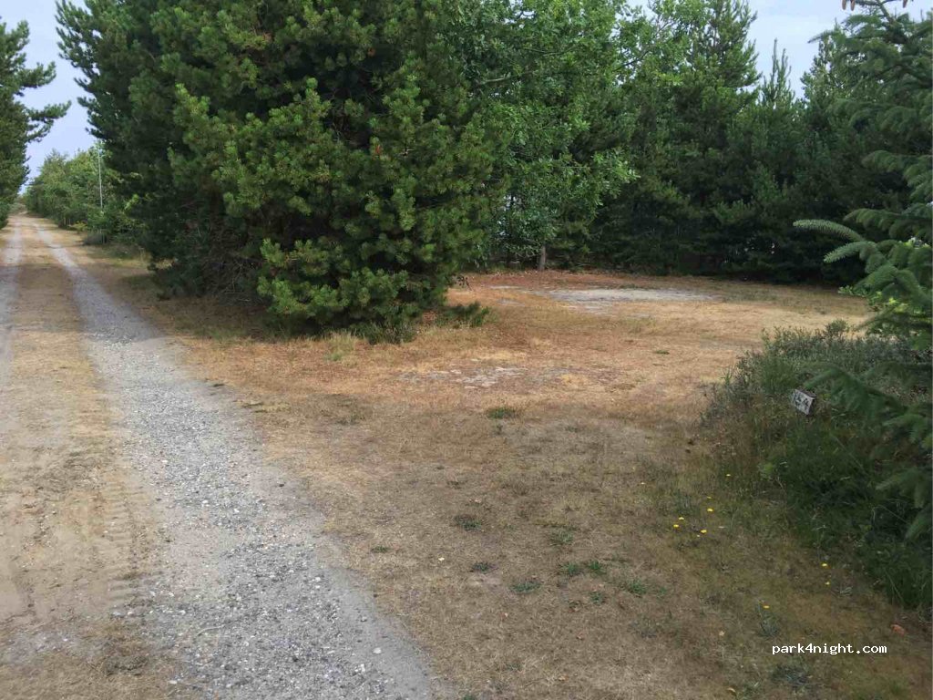 Tranum Klit Camping — foto