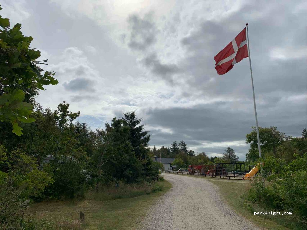 Tranum Klit Camping — foto 3