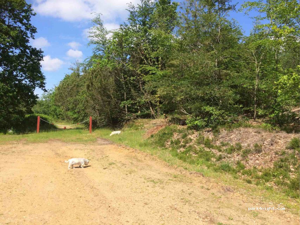 (6900) Skjern - Skjern Å Vej — foto