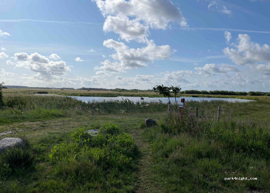 (6900) Skjern - Skjern Å Vej — foto 4