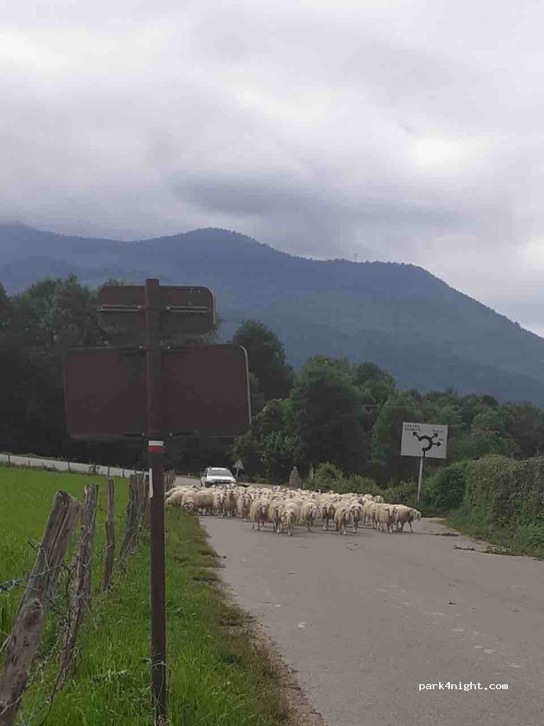 (64260) Aste-Béon - Vierge de Béon — foto
